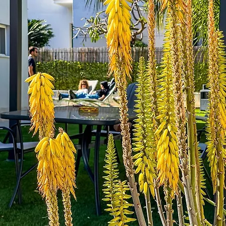 3b Mondello アパート *